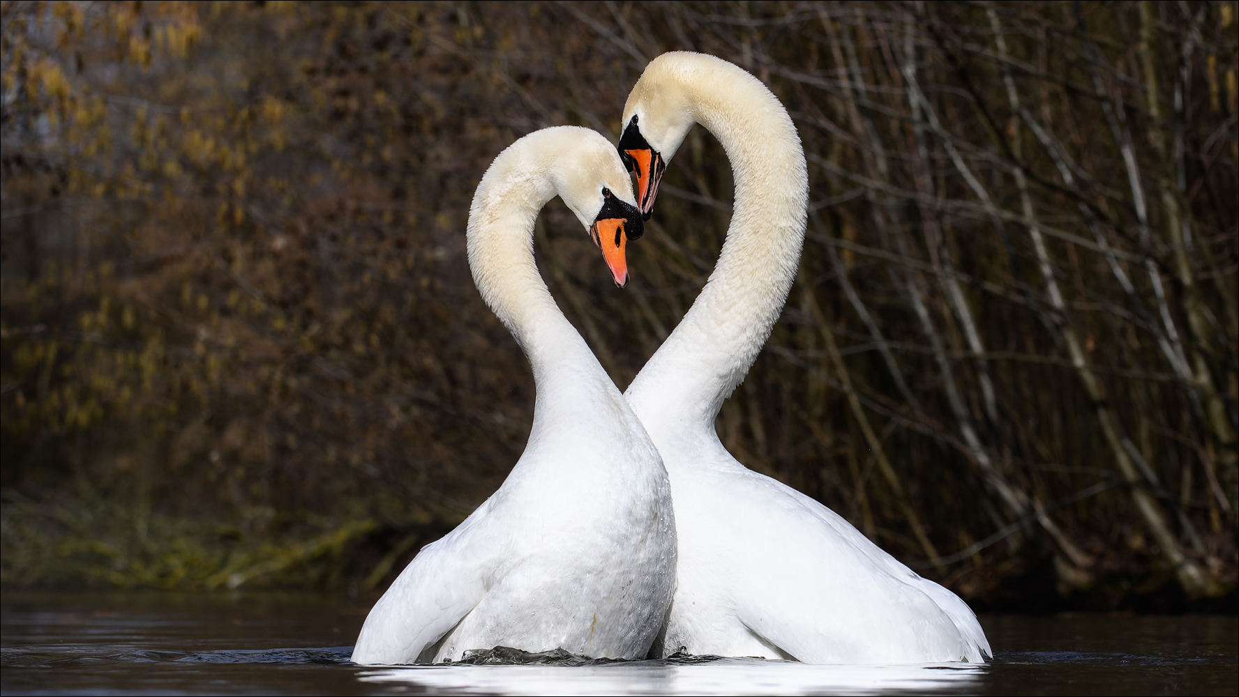 Die Hochzeit