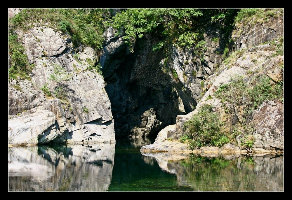 Die Höhle des Löwen