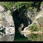 Die Höhle des Löwen