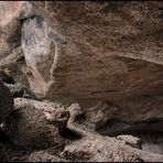 DIE HÖHLE DES MILODONS