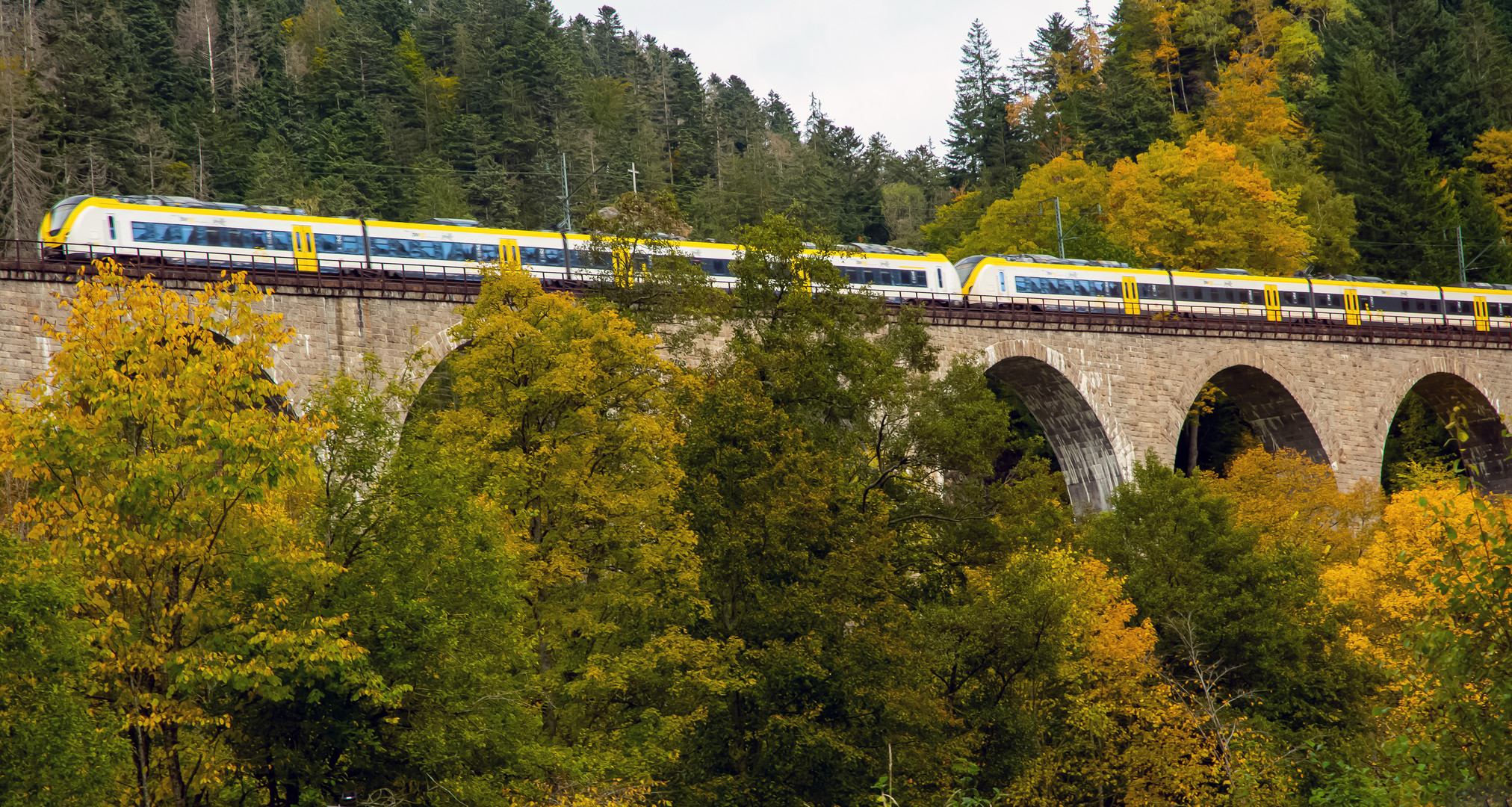 Die Höllentalbahn auf dem Ravenna Viadukt bei Hinterzarten.