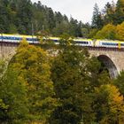 Die Höllentalbahn auf dem Ravenna Viadukt bei Hinterzarten.