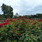 Die Hofburg in Wien (2)