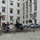 Die Hofburg in Wien (4)