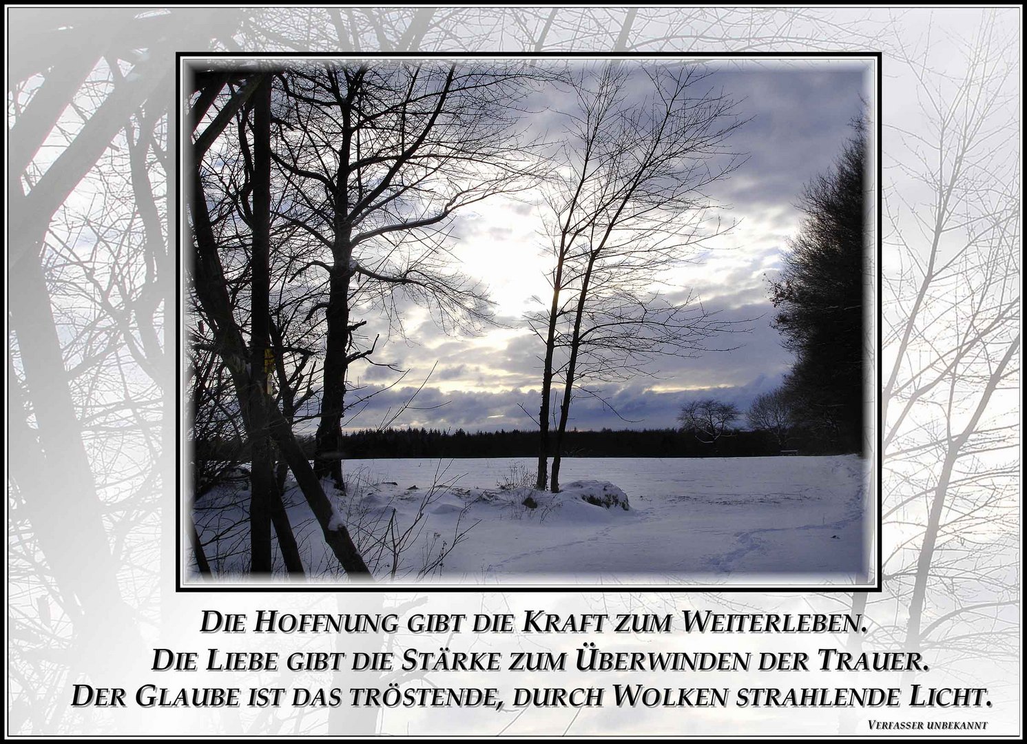Die Hoffnung Gibt Die Kraft Zum Weiterleben Foto Bild - 