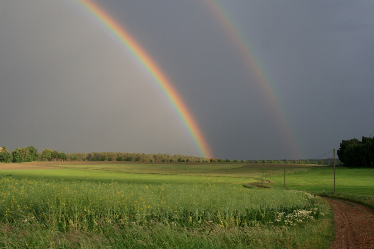 Die Hoffnung ist der Regenbogen....