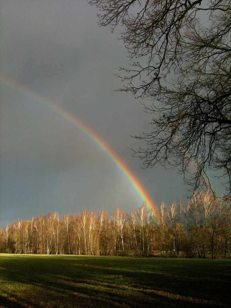 "Die Hoffnung ist der Regenbogen über den herabstürzenden Bach des Lebens." ...´12