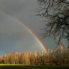 "Die Hoffnung ist der Regenbogen über den herabstürzenden Bach des Lebens." ...´12