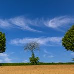 die Hoffnung stirbt zuletzt