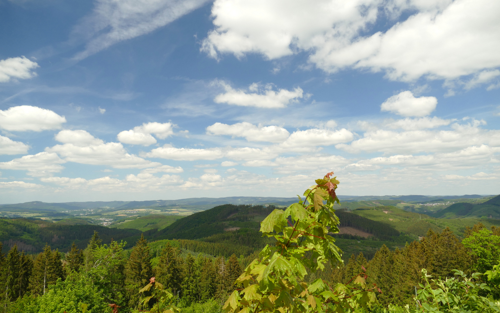 """ Die Hohe Bracht """