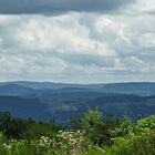 Die Hohe Bracht - vom Sauerland Höhenflug aus gesehen.... :-)))