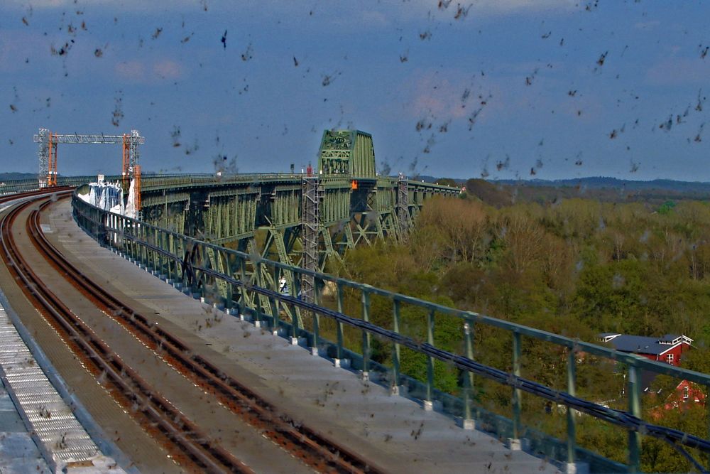 die hohe Brücke