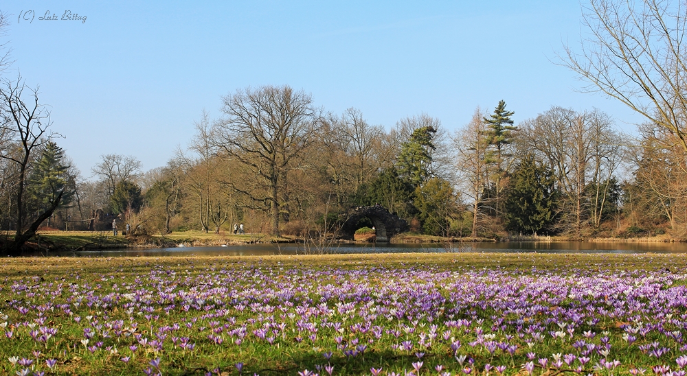 Die Hohe Brücke im Wörlitzer Park