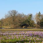 Die Hohe Brücke im Wörlitzer Park