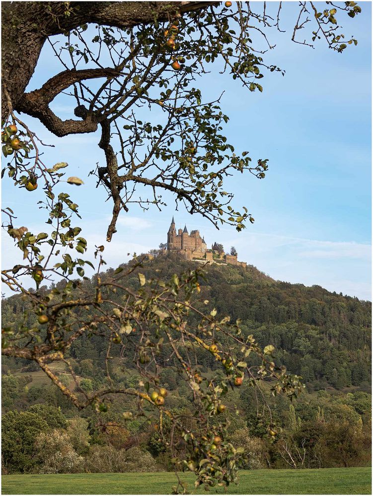 die hohenzollernburg....