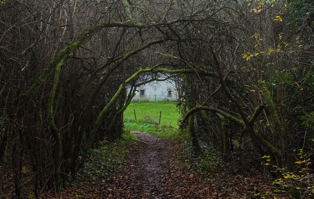 Die hohle Gasse