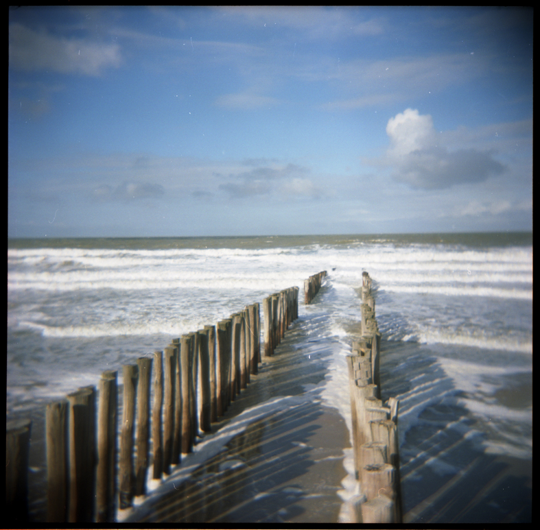 _die holga und das meer......