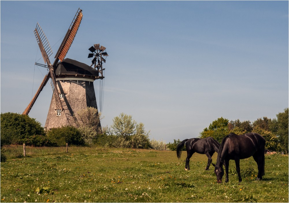 Die Holländer Mühle ...