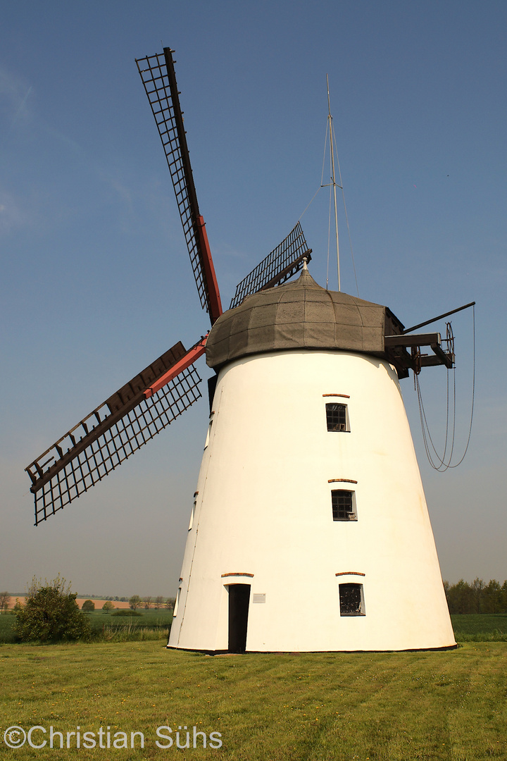 Die Holländerwindmühle am Bungenstedter Turm in Wolfenbüttel-Halchter