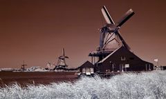 Die holländischen Mühlen...