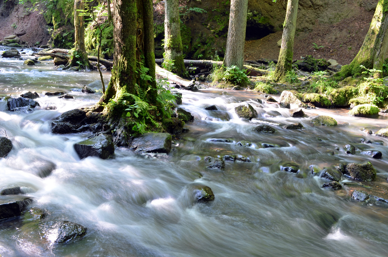 Die Holzbachschlucht 2