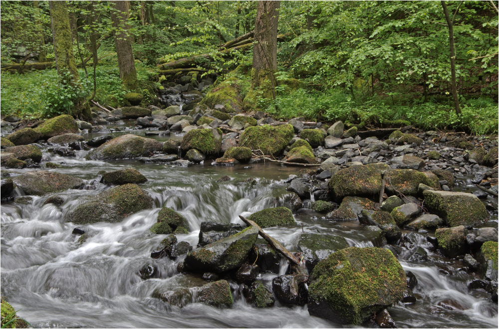 Die Holzbachschlucht