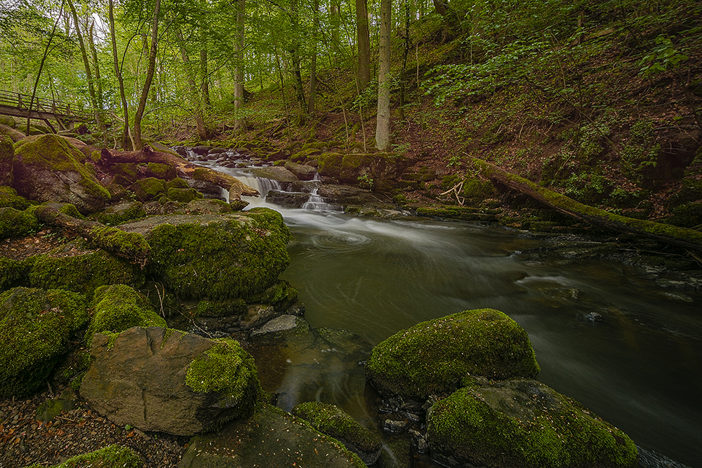 Die Holzbachschlucht im Westerwald