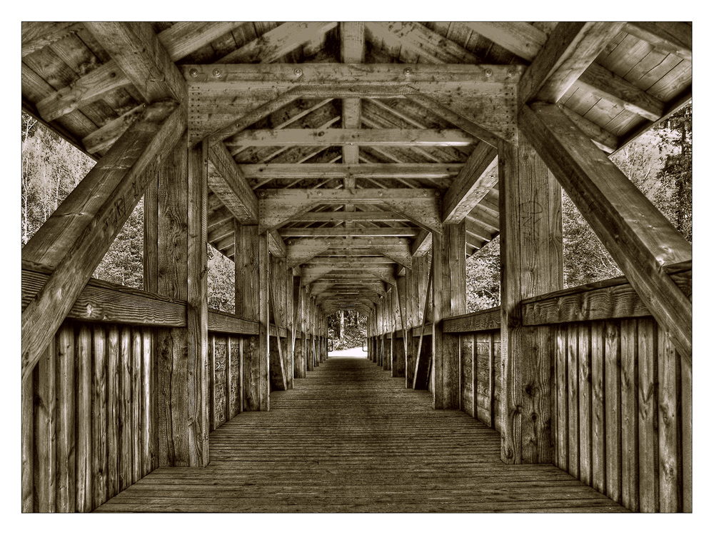Die Holzbrücke
