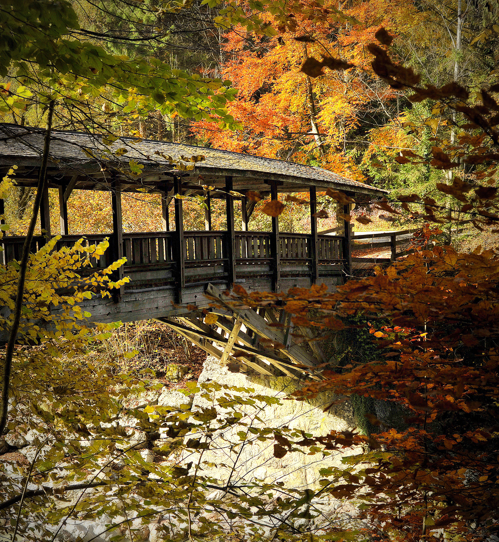 Die Holzbrücke