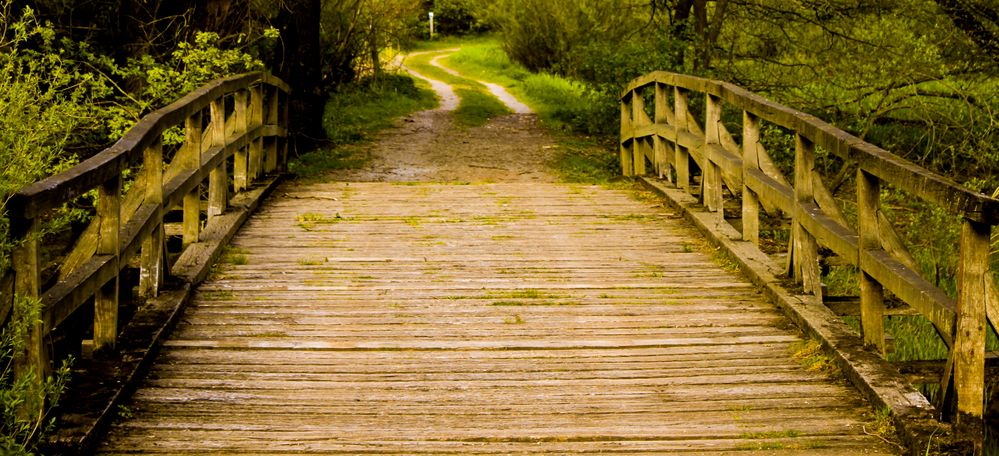 Die Holzbrücke im Wendland ......