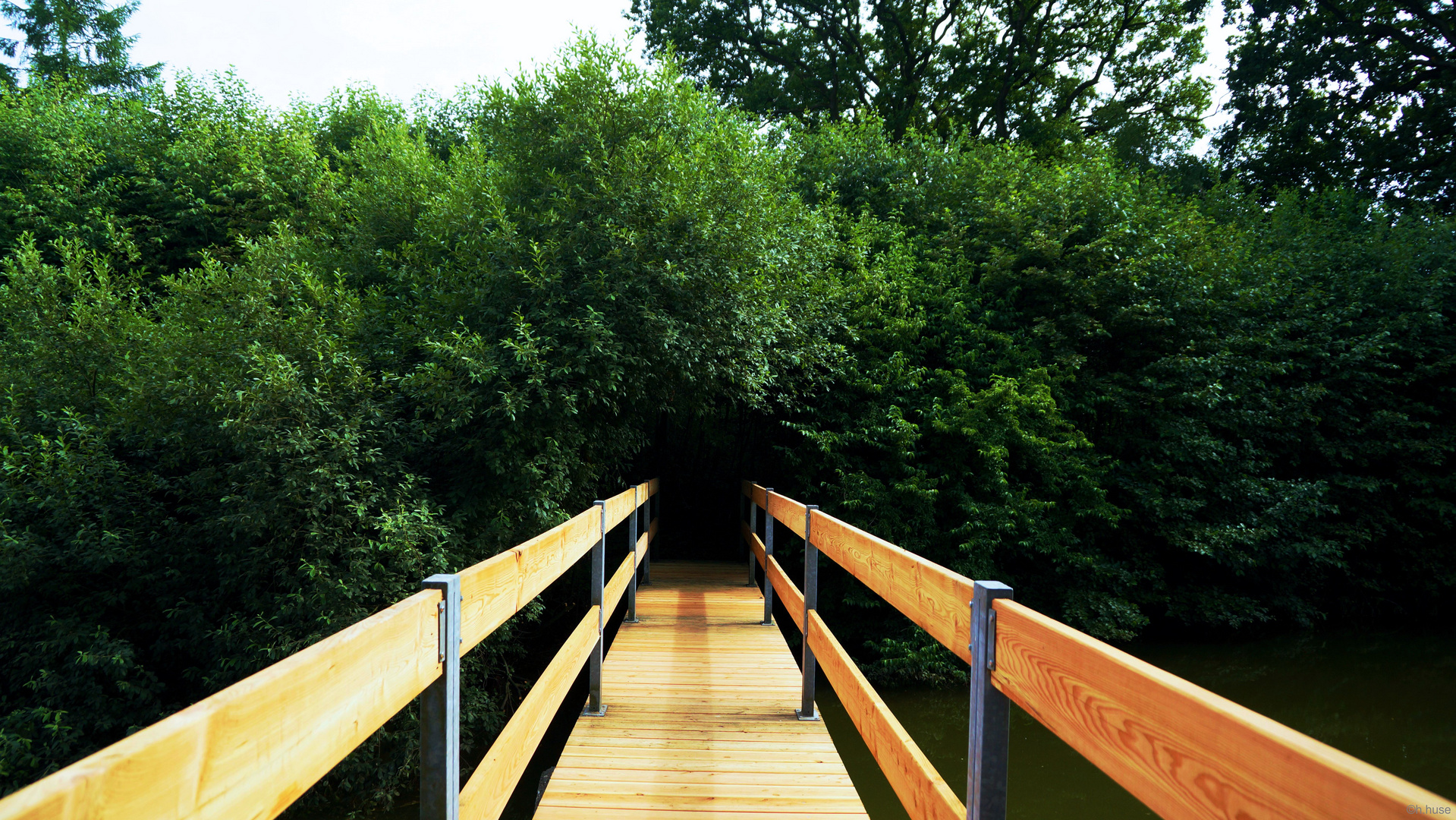 Die Holzbrücke ins GRUENE HH