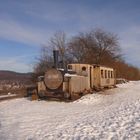 Die Holzdampflok bei Neustadt (Harz) 1.