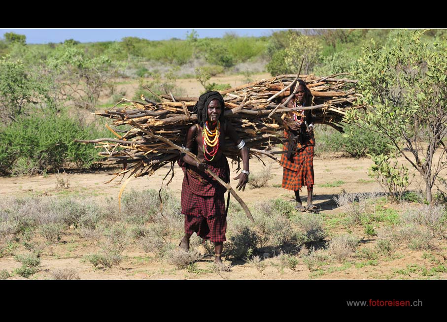 Die Holzfrauen Afrikas