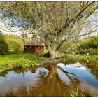 Die Holzhütte am Teich