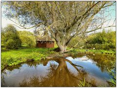 Die Holzhütte am Teich