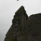 Die Hore Abbey....VII...