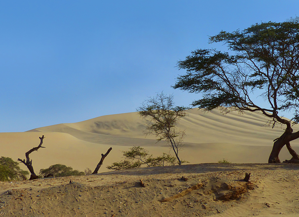 Die Huacachina Oase