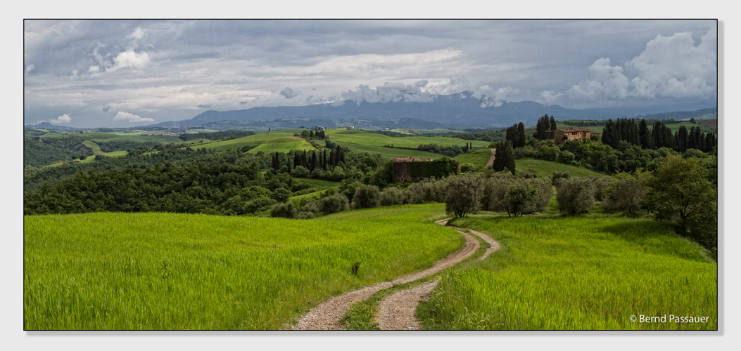 Die Hügel der Toskana_2