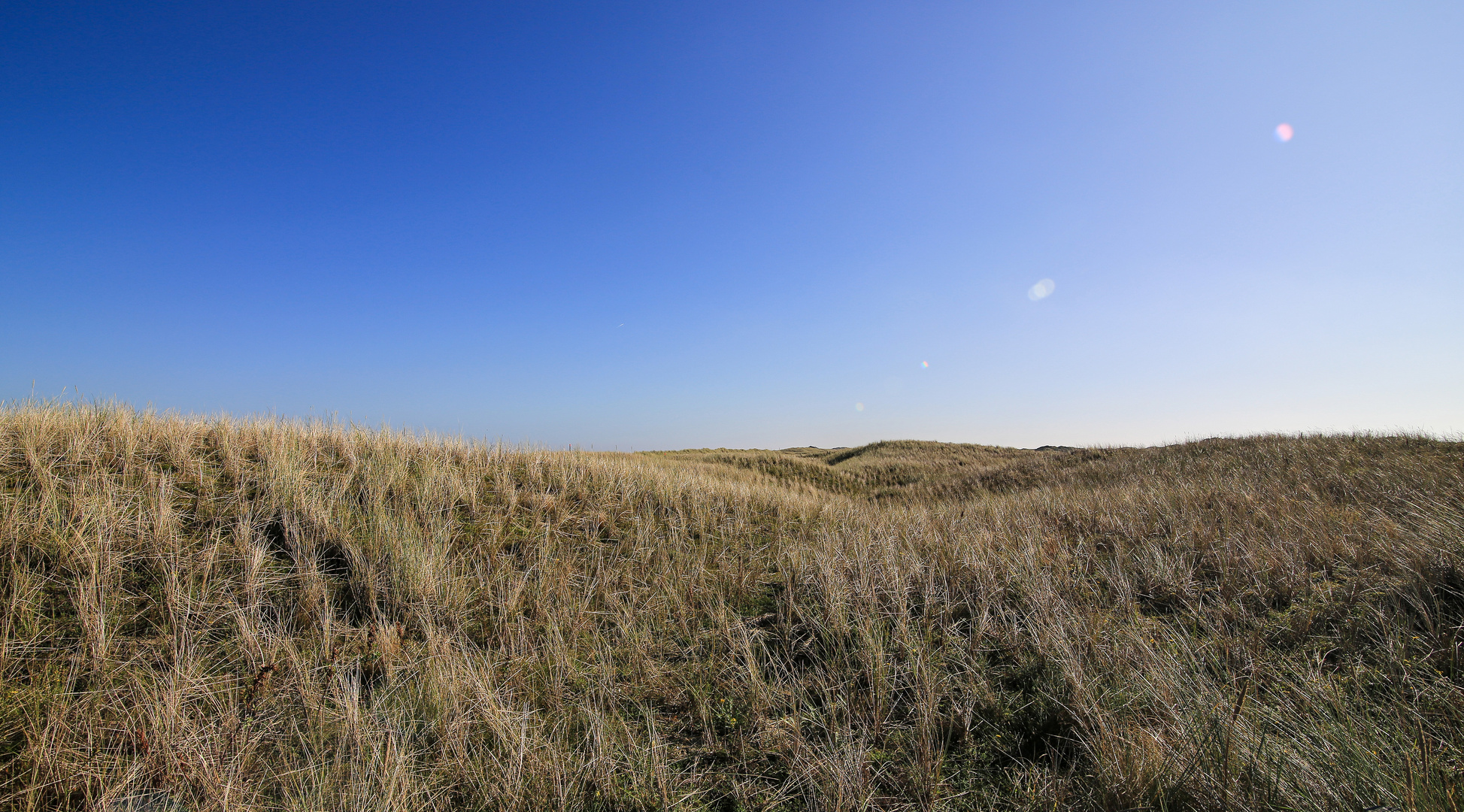 Die hügelige Dünenlandschaft....