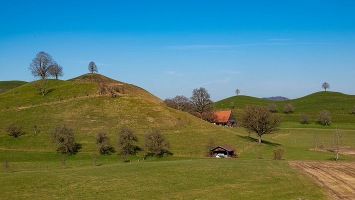 Die Hügelwächter vom Zugerland