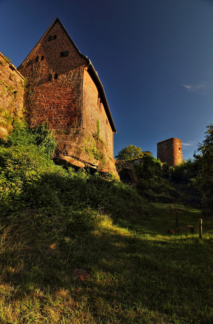 Die Hüneburg