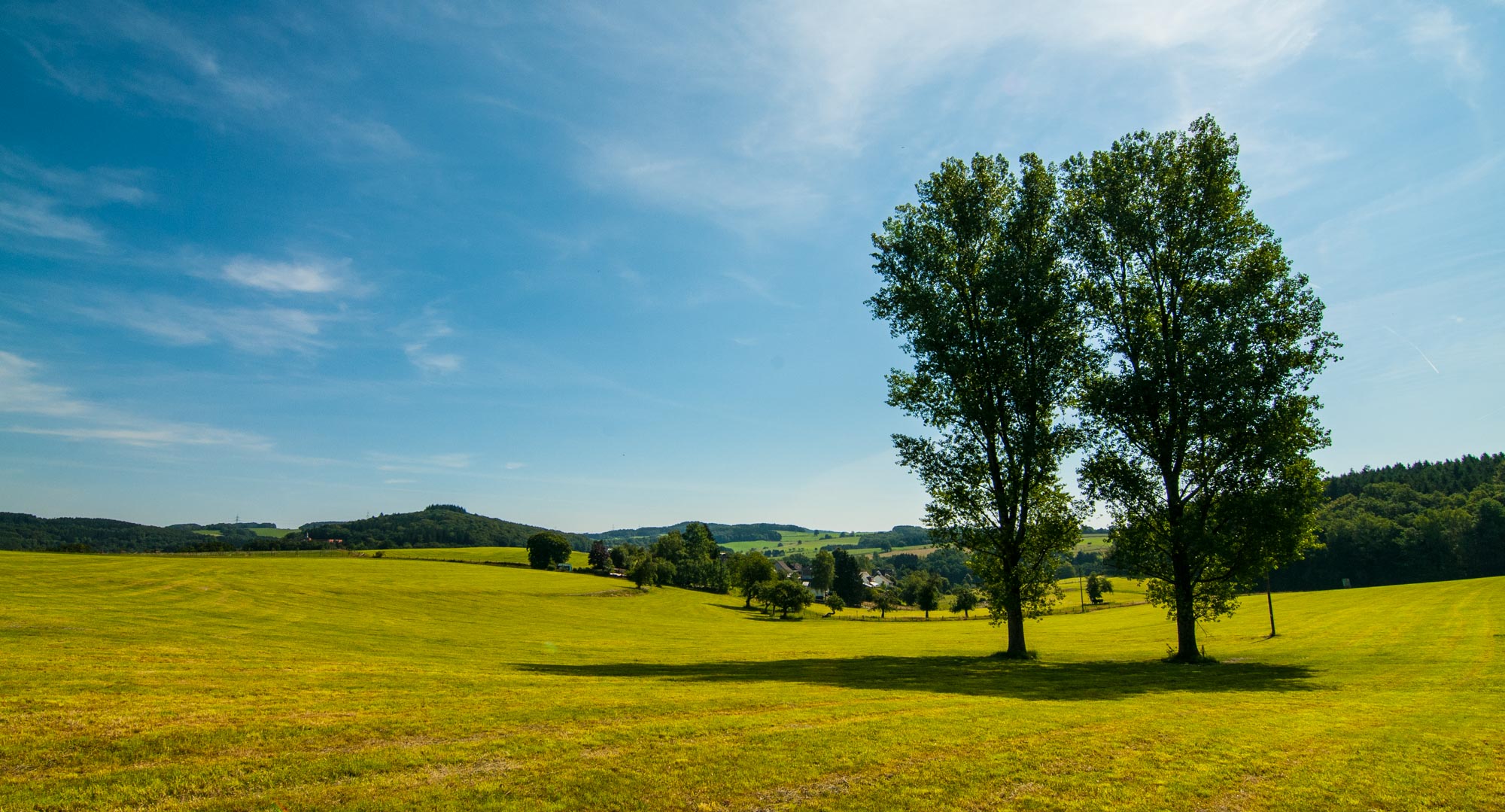 Die Hüter der Wiese