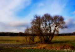 die hüter des weges