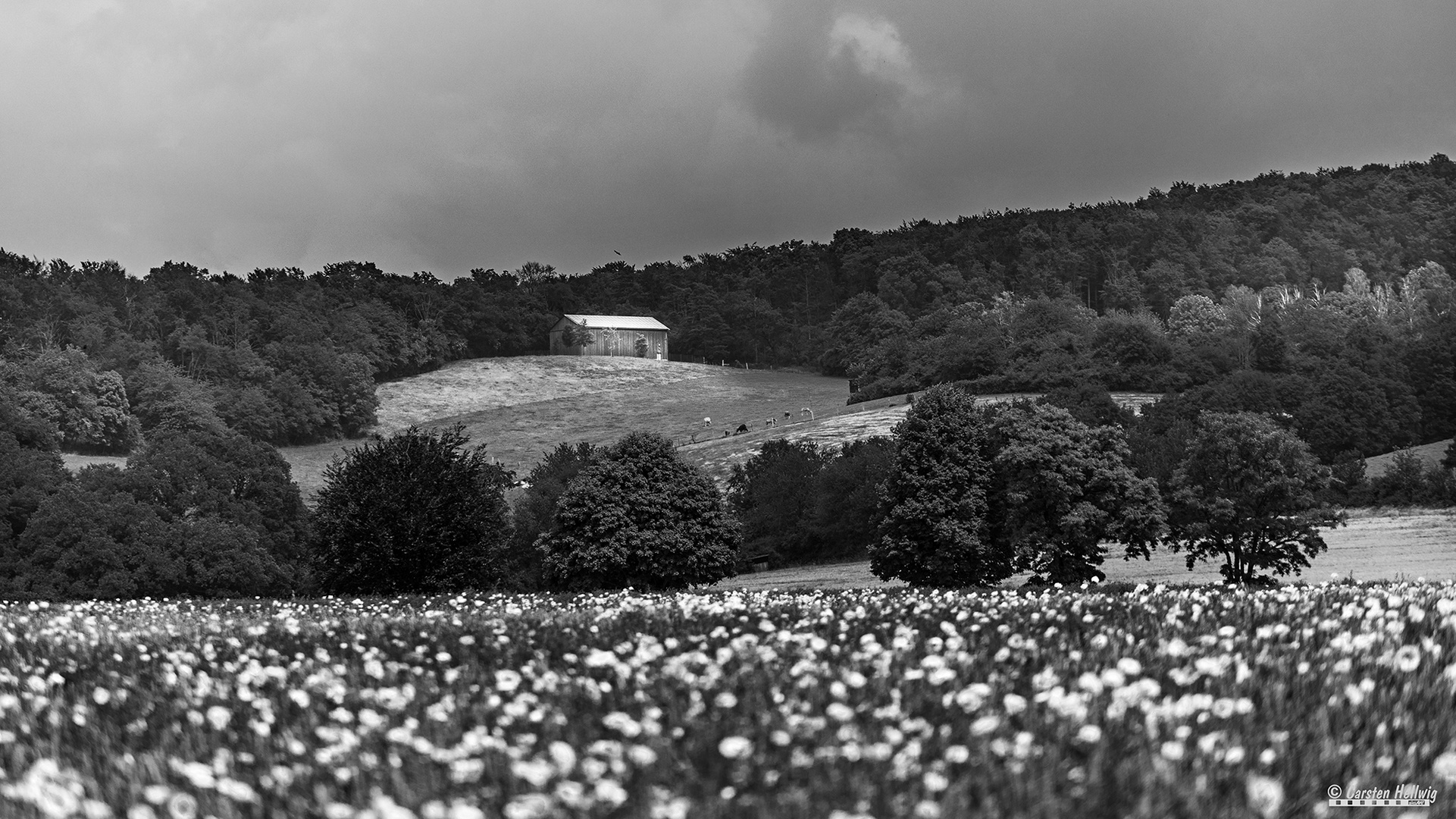 Die Hütte