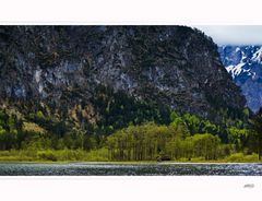 Die Hütte am Almsee