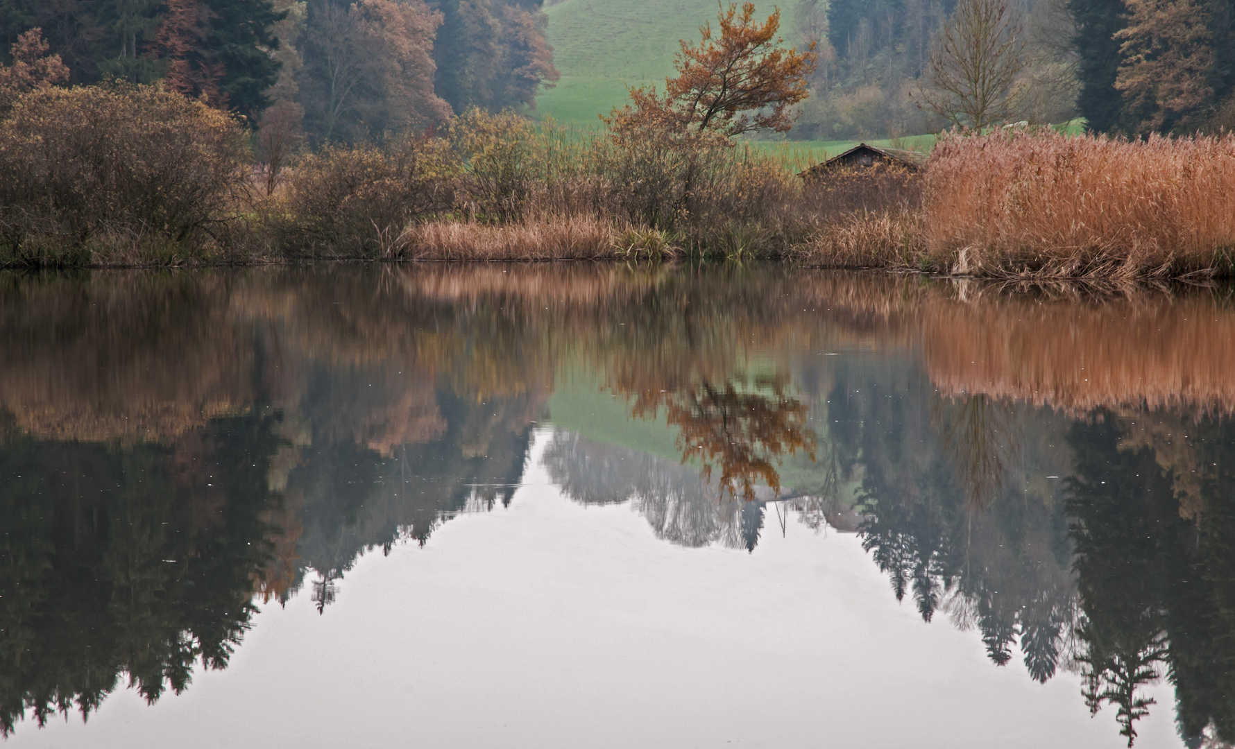 Die Hütte am Moor