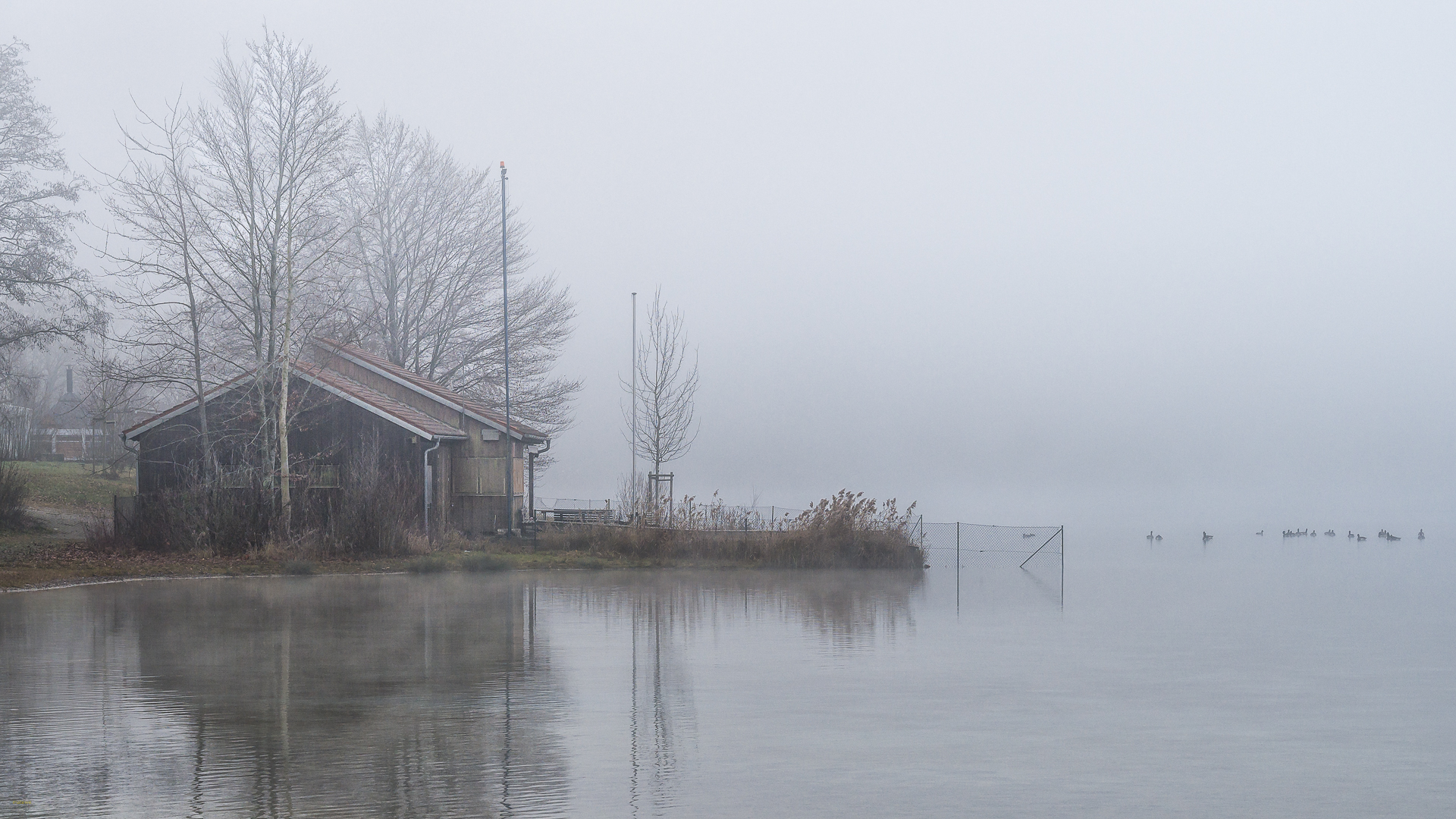 die Hütte am See