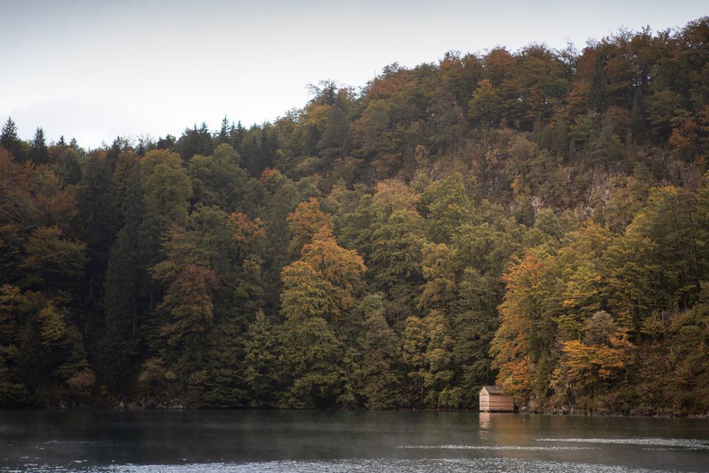 Die Hütte am See