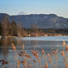 Die Hütte am See