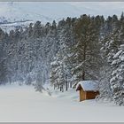 Die Hütte am See